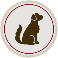 in-home-pet-care-icon-doggy-daycare